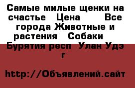 Самые милые щенки на счастье › Цена ­ 1 - Все города Животные и растения » Собаки   . Бурятия респ.,Улан-Удэ г.